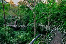 Cliffside walkway near Thenmala Beach Kerala