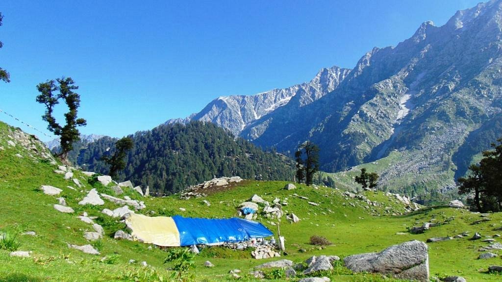 Triund trek trail with Dhauladhar mountain backdrop