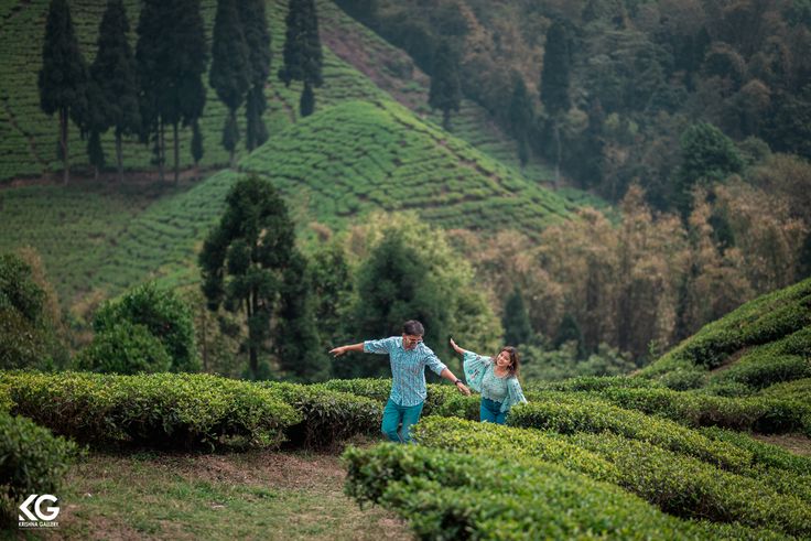 Romantic couple walking through Munnar tea gardens