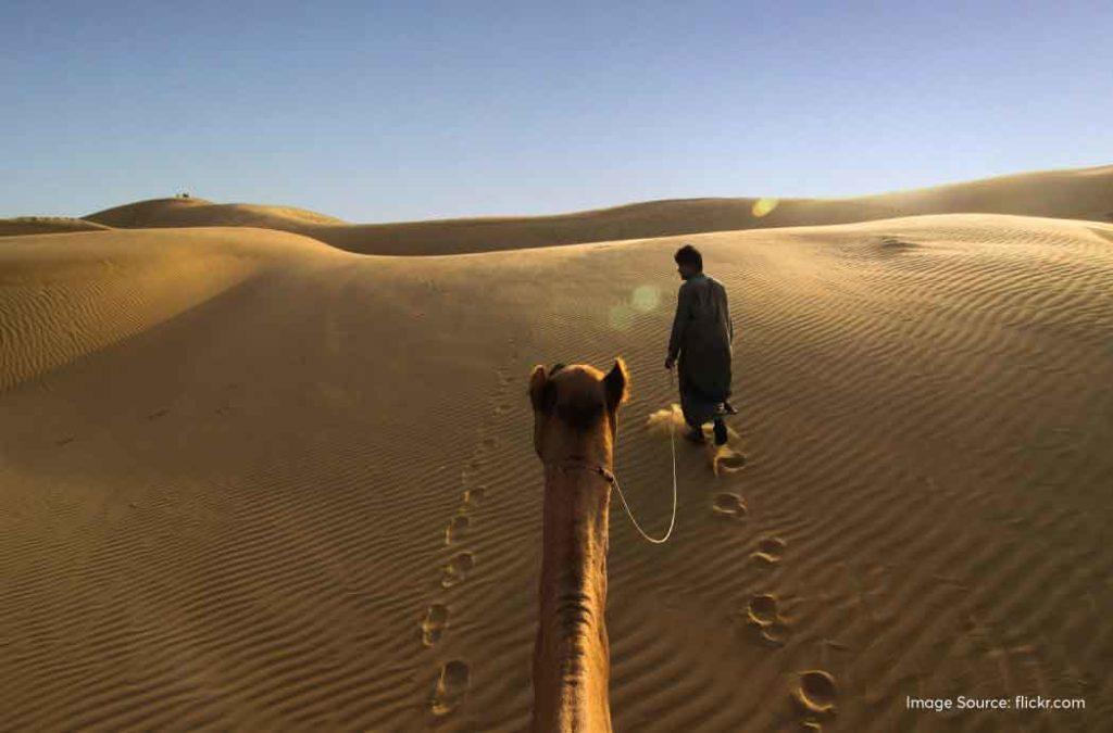 Desert Safari Jaisalmer Rajasthan