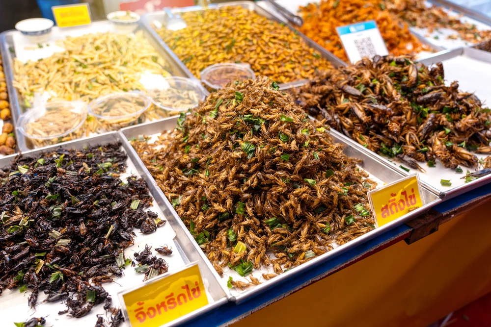 Thai street food night market scene