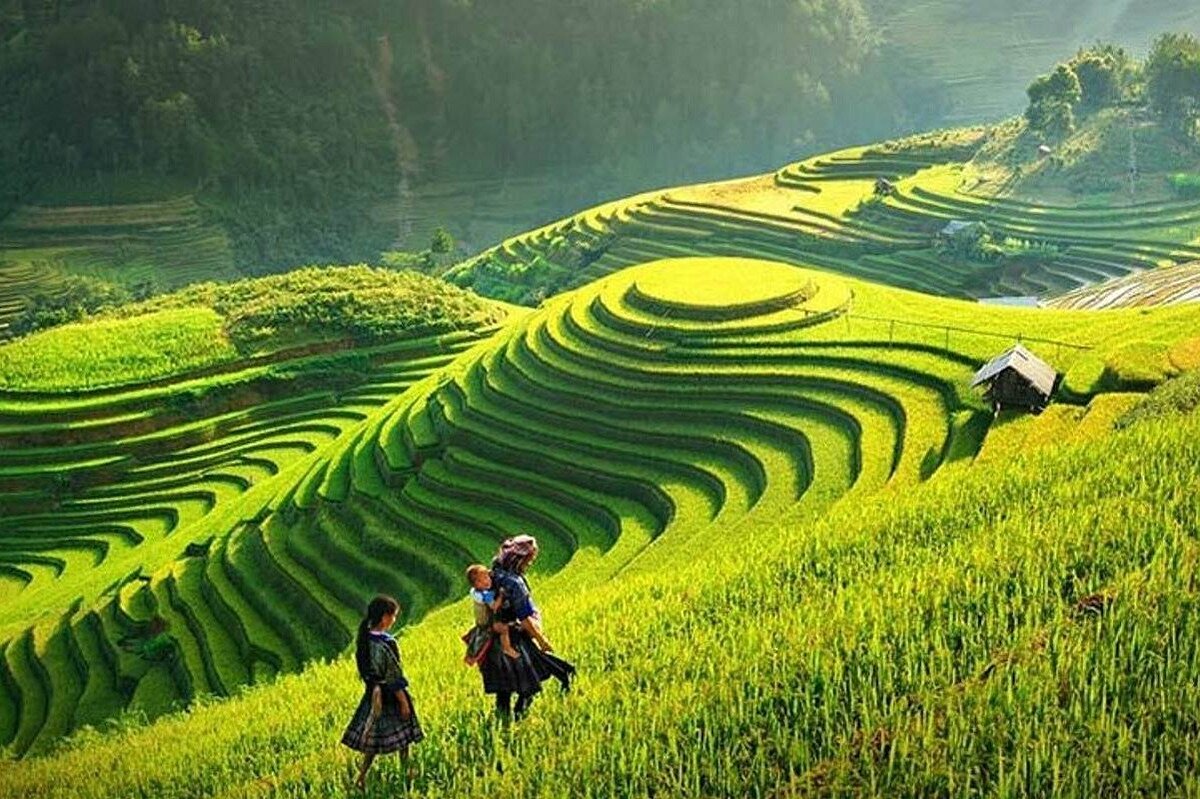Trekking trail with rice terraces near Sapa Vietnam
