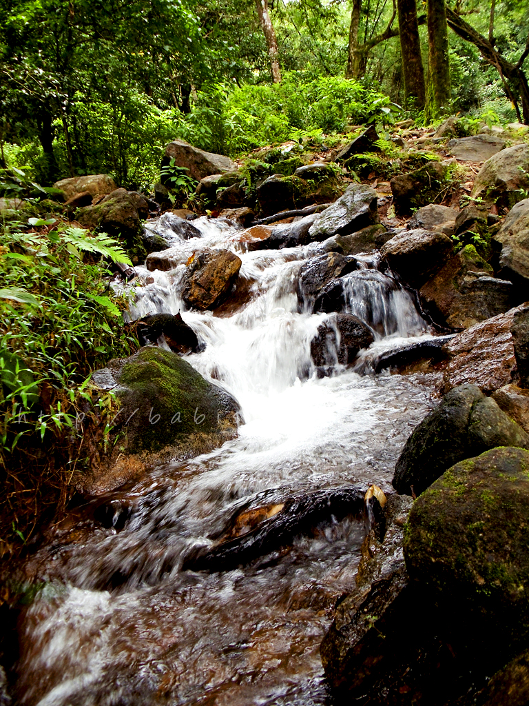 Papanasini stream and ritual zone near Thirunelli Temple in Wayanad
