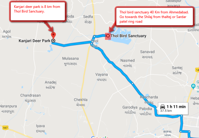 Road approach and wetland entry route for Thol Lake from Ahmedabad
