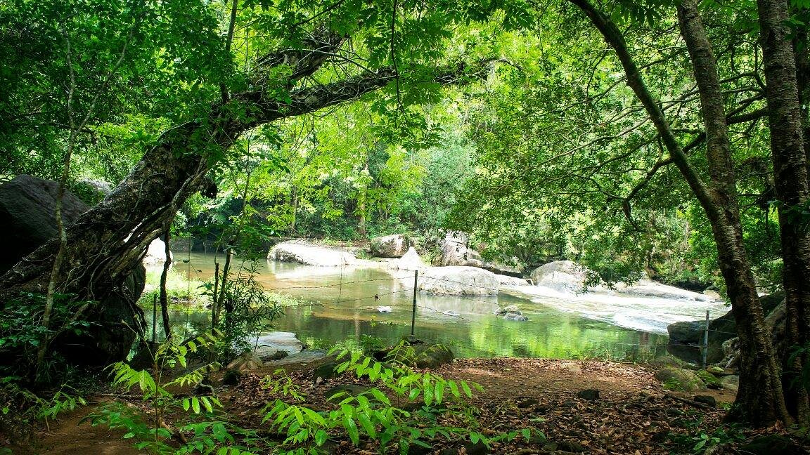 Designated safe viewing zone near Thommankuthu cascades