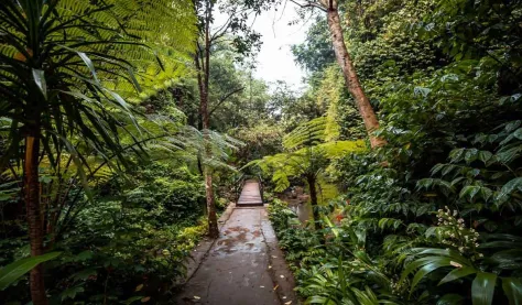Scenic jungle trail leading to Tibumana Waterfall through lush tropical forest