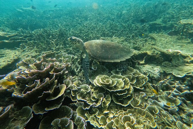 Common planning mistakes for Tioman Island trips