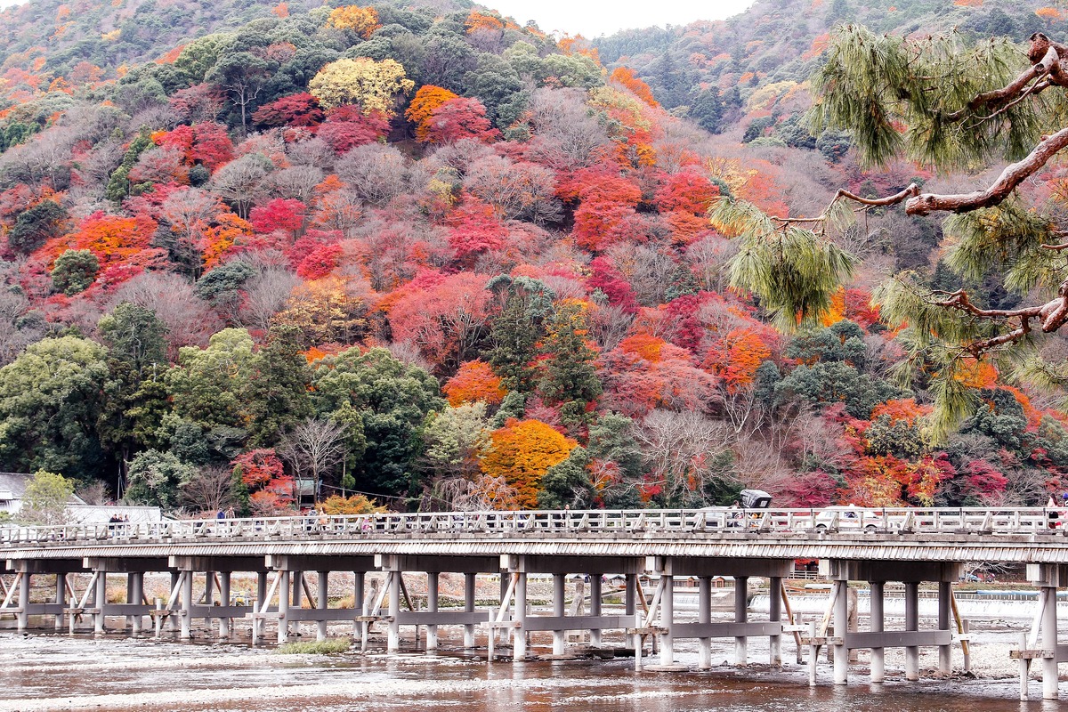 Autumn foliage around Togetsukyo Bridge in Arashiyama