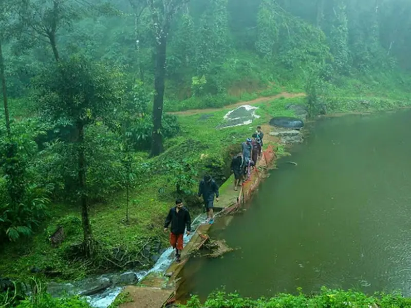 Forest trekking trail in Kerala