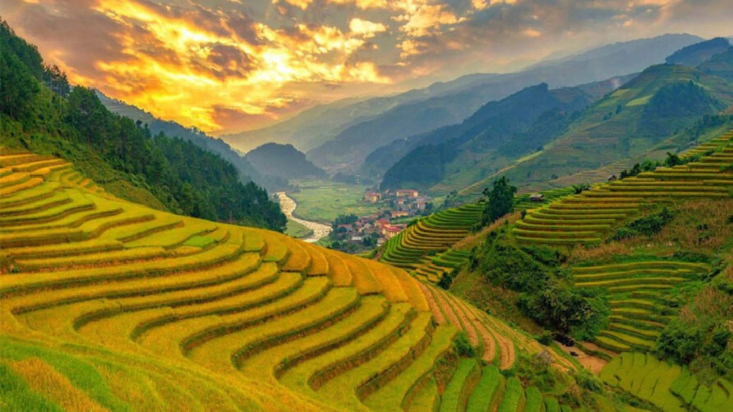 Sapa rice terraces at sunset