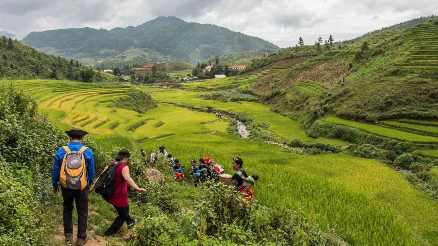 Trekking trail through Sapa rice terraces