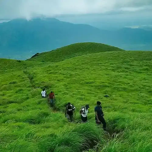Summit view from Wayanad peak