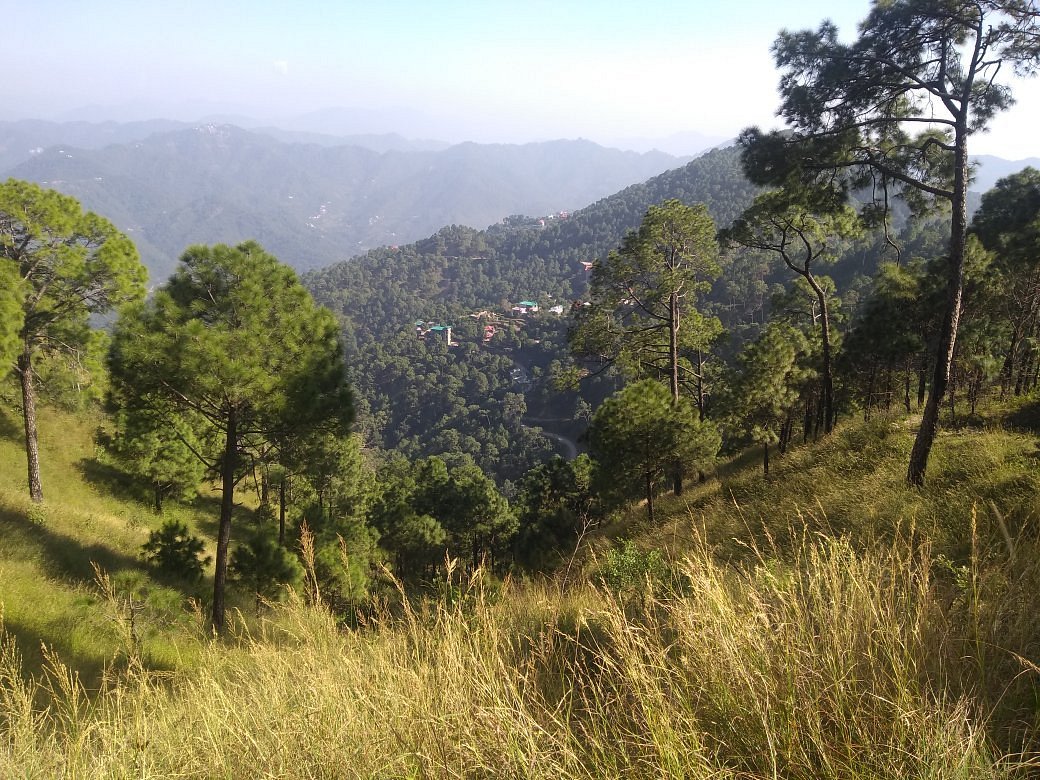 Scenic section of Gilbert Trail with valley views near Kasauli