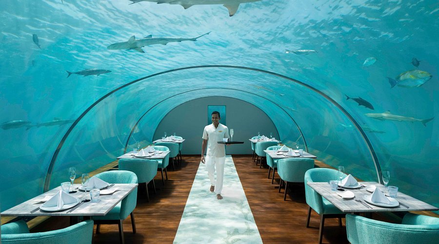 Guests dining inside an underwater restaurant in Maldives