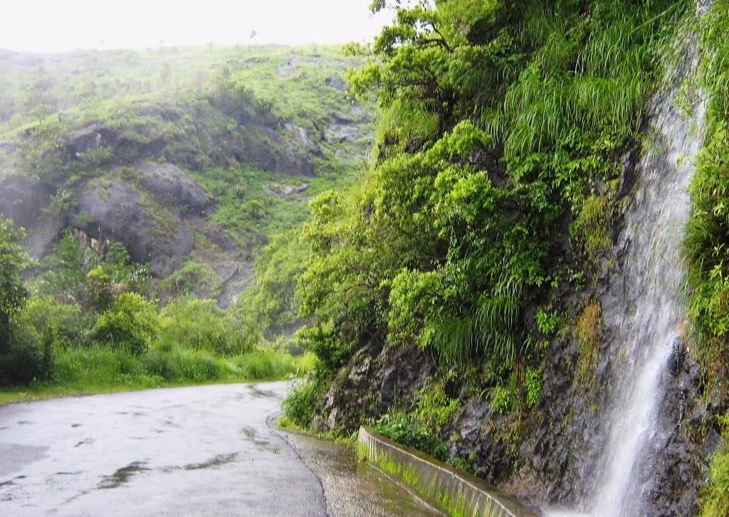 Forest and meadow trekking trail leading to waterfall in Vagamon