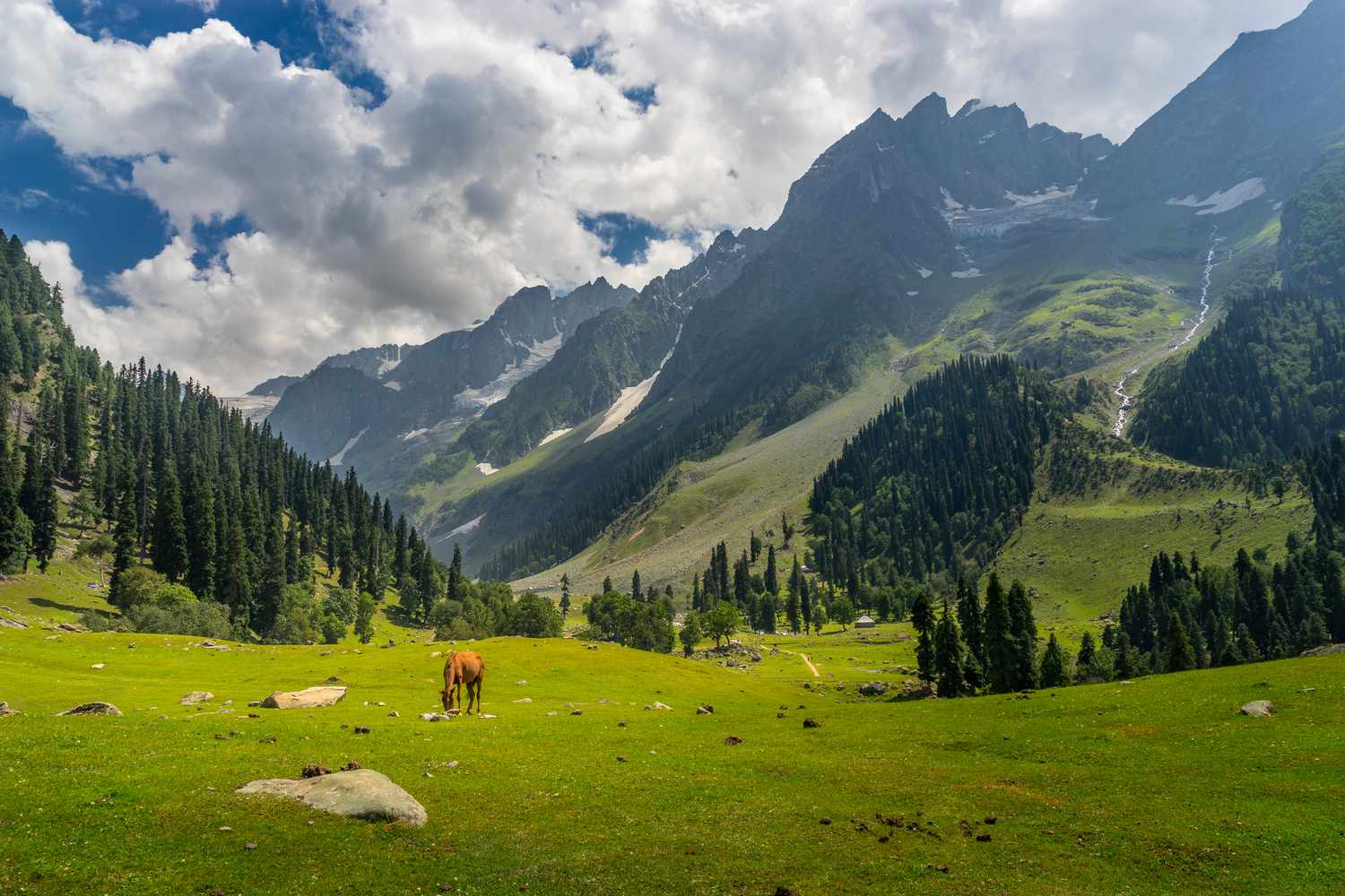 Valleys in Kashmir: 10 Scenic Valleys You Must Visit