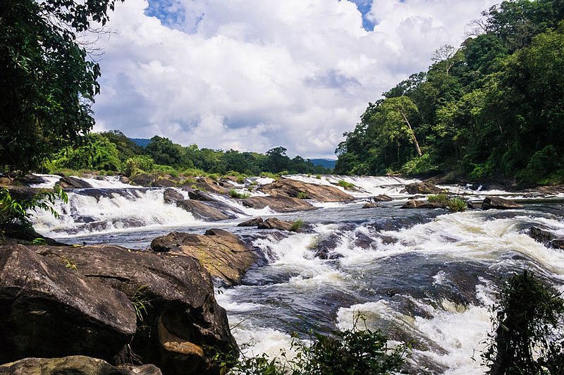 Vazhachal Waterfalls Kerala broad cascade through forested rocky river channel