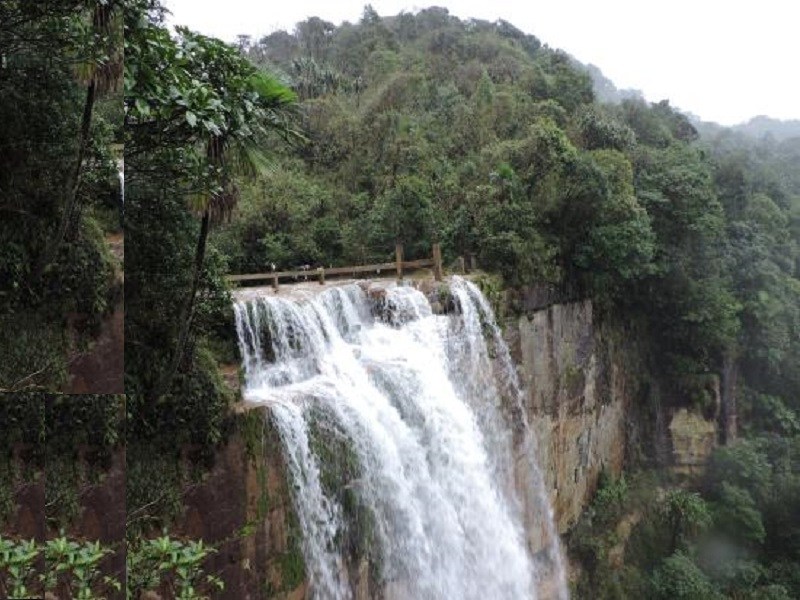 Trekking trail through lush green forest leading to Wah Kaba Falls