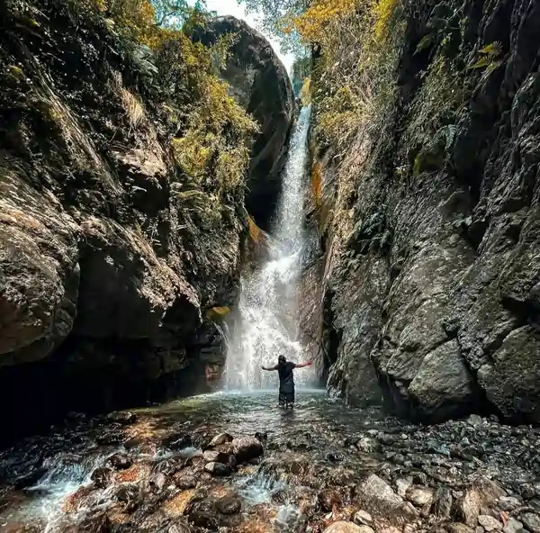 Scenic trek path through forest to reach Rishikesh waterfalls