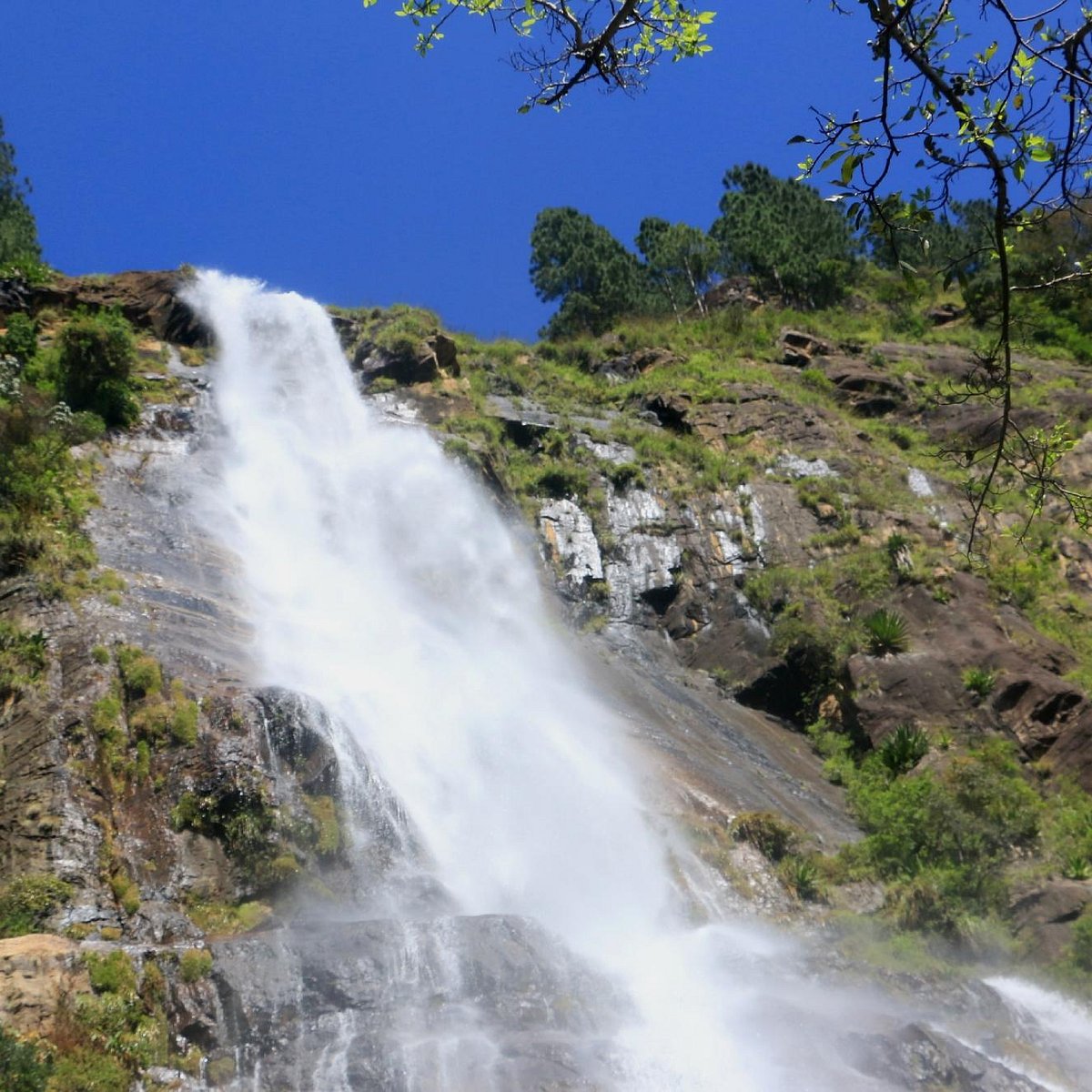 Bambarakanda Falls highest waterfall in Sri Lanka