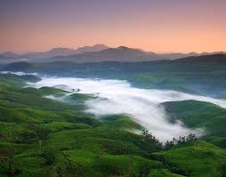 Best season field conditions for Wayanad Travel Guide