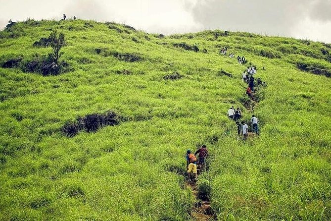 On-ground experience for Wayanad Travel Guide