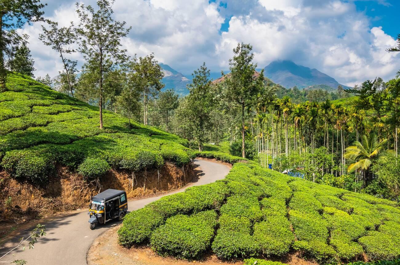 Scenic route between Wayanad attractions
