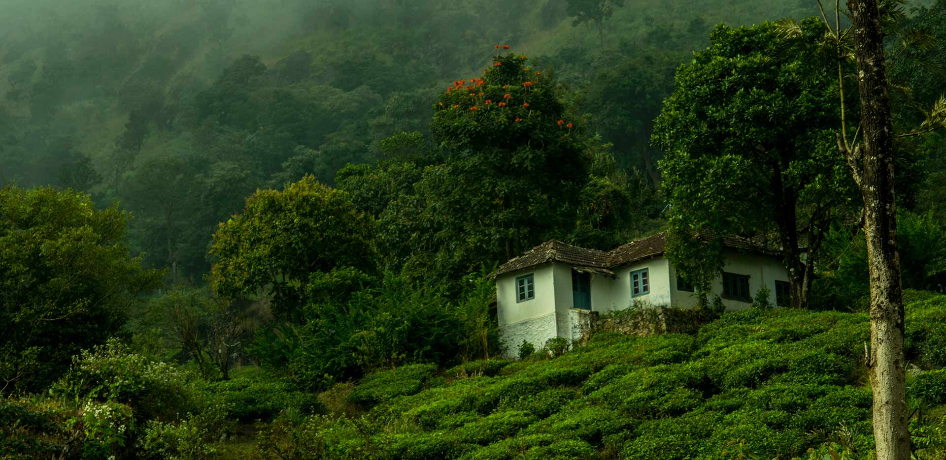 Seasonal changes at Wayanad waterfalls