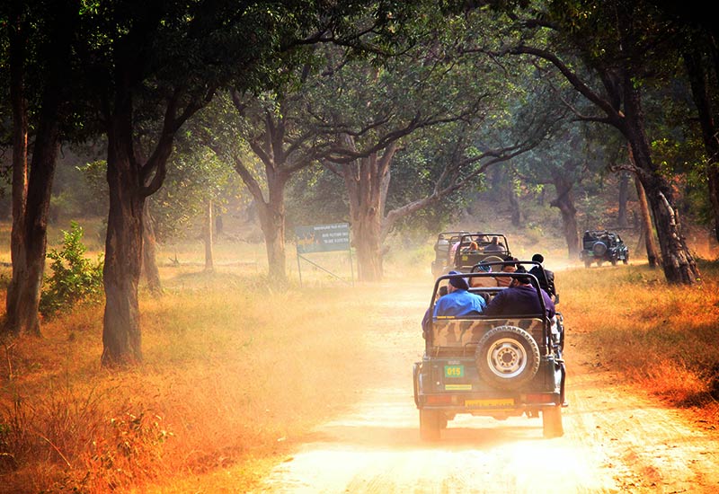 Jeep safari at Wayanad Wildlife Sanctuary