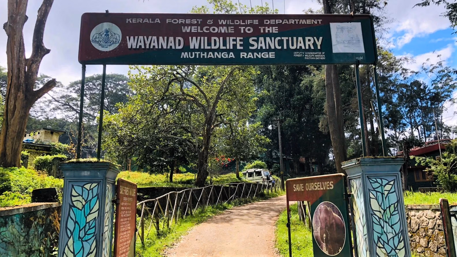 Wayanad wildlife landscape with elephants