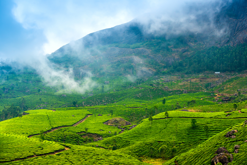 Best season field conditions for Western Ghats Biodiversity