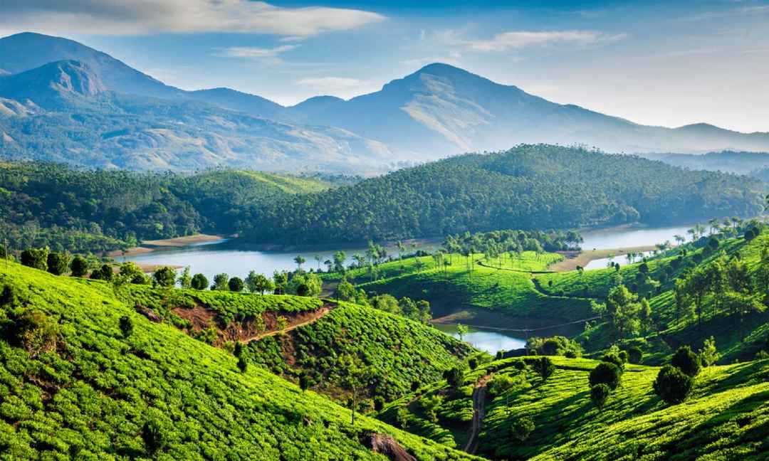On-ground experience for Western Ghats Biodiversity