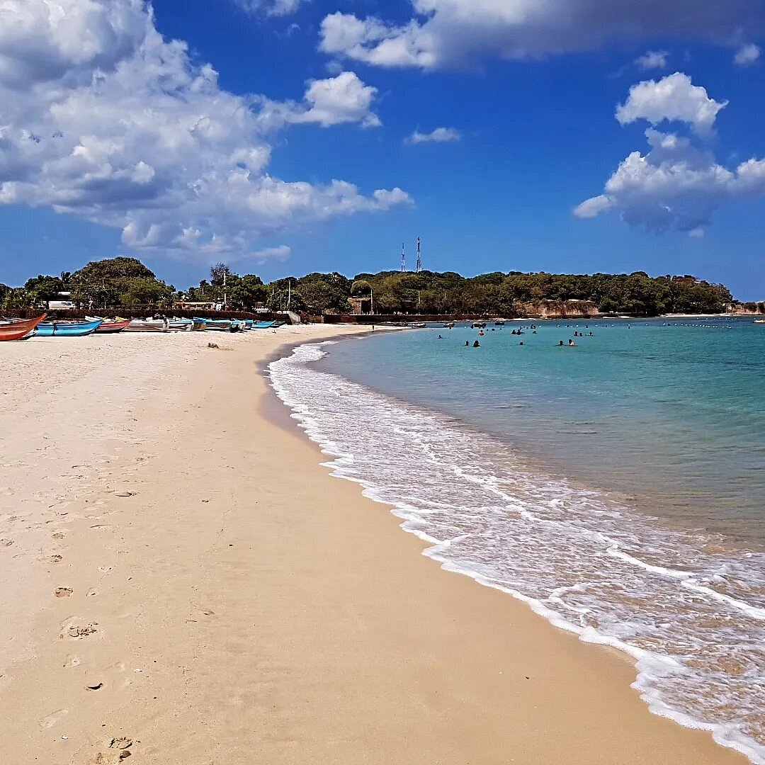 Open sea whale watching route from Trincomalee coast