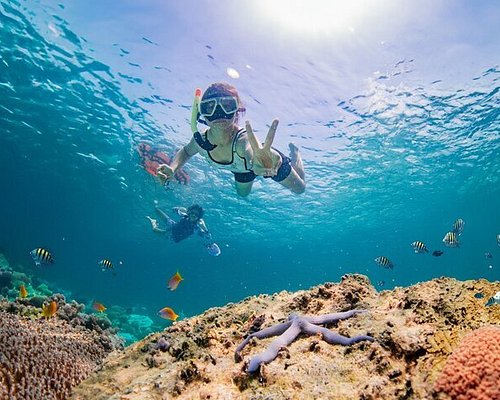 Scuba diver exploring coral reef in Thailand