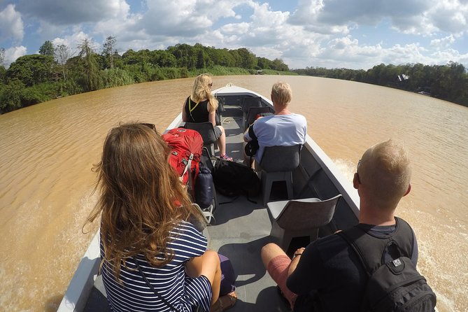 Kinabatangan River safari boat