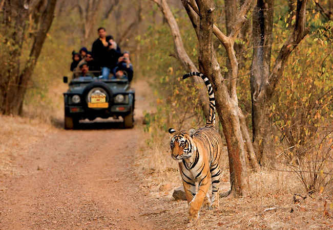 On-ground experience for Wildlife Sanctuaries in India