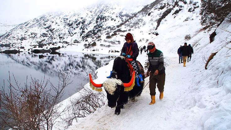 Yak safari route along the scenic Tsomgo Lake in Sikkim