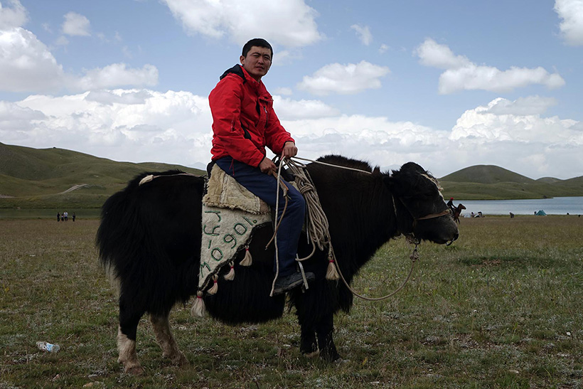 Tourist enjoying yak ride with scenic mountain backdrop in Sikkim
