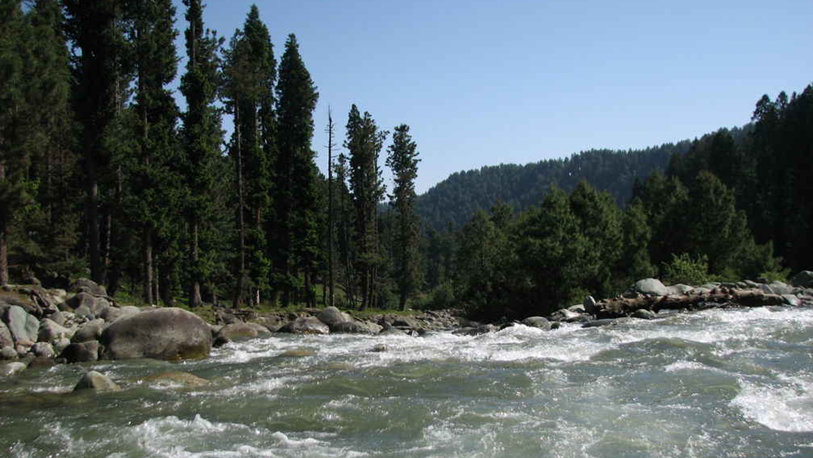 Doodh Ganga stream section near Yusmarg meadow