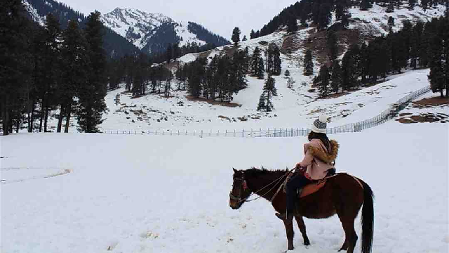 Pony trail route through Yusmarg meadow and forest